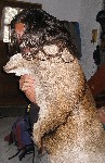 3363
